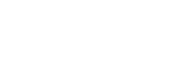 IBRO Logo